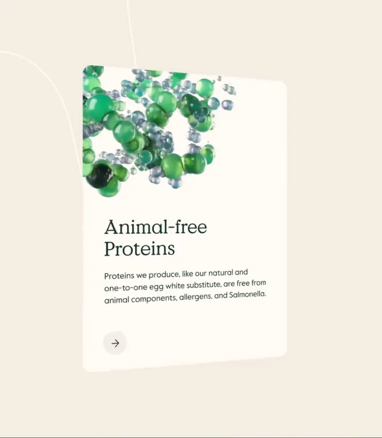 Video Cover Image
