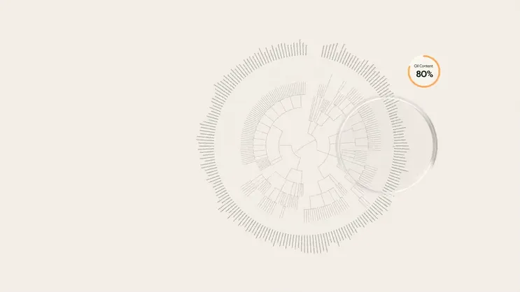 Video Cover Image